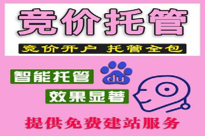 竞价广告的实战经验分享：某电商巨头的成功秘诀